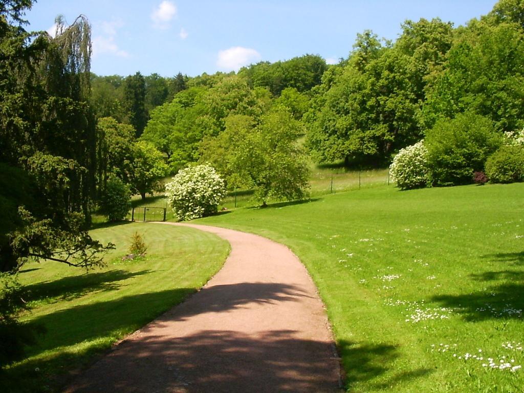Lovely Holiday Home In The Thuringian Forest With Roof Terrace And Great View Bad Liebenstein Luaran gambar